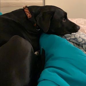 Meet your Posher, Priyanka